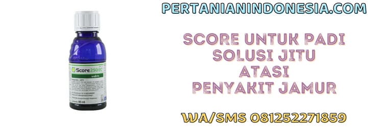 score,padi,score 250 ec,jamur,fungisida